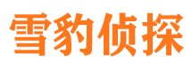 岭东市私家侦探